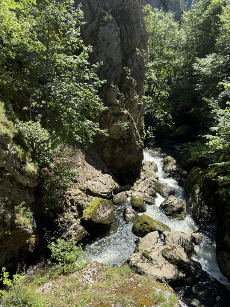 Wilde Felsformationen und die rauschende Areuse in einem besonders eindrucksvollen Abschnitt der Schlucht.