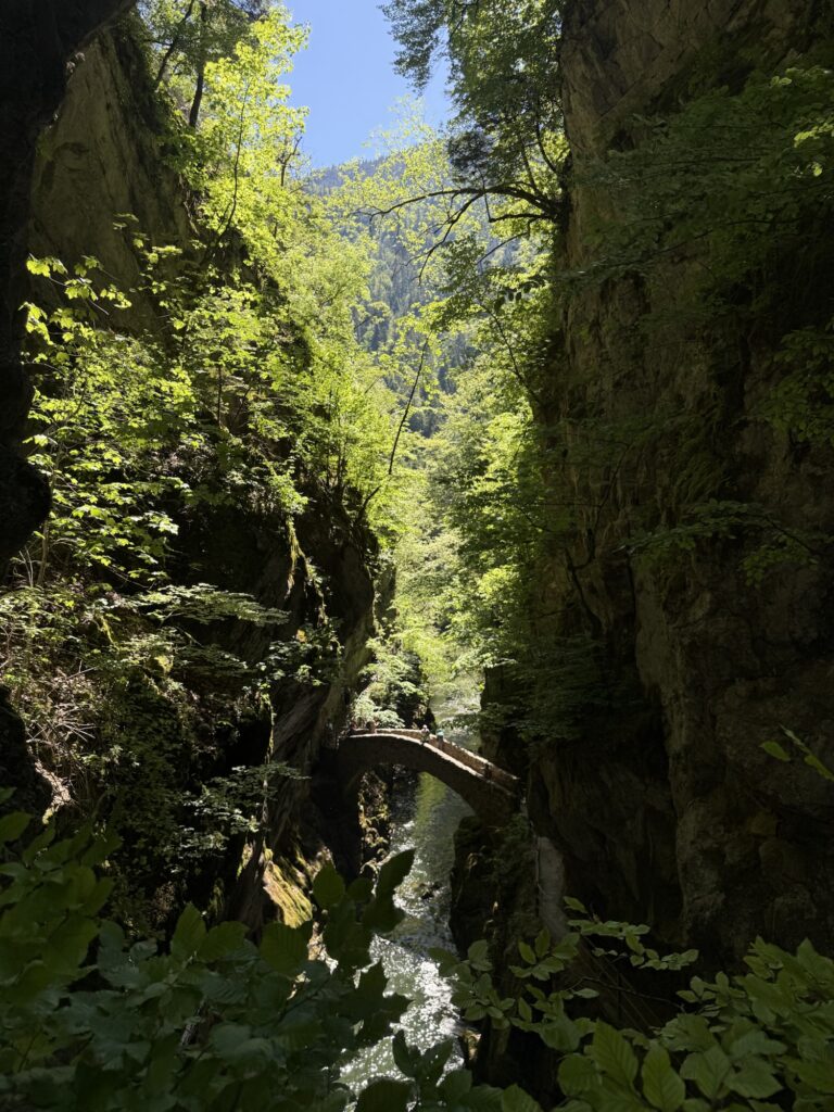 Die historische Pont de la Baleine überspannt die enge Areuse-Schlucht zwischen hohen Felswänden.
