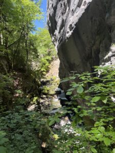 Die historische Pont de la Baleine überspannt die enge Areuse-Schlucht zwischen hohen Felswänden.