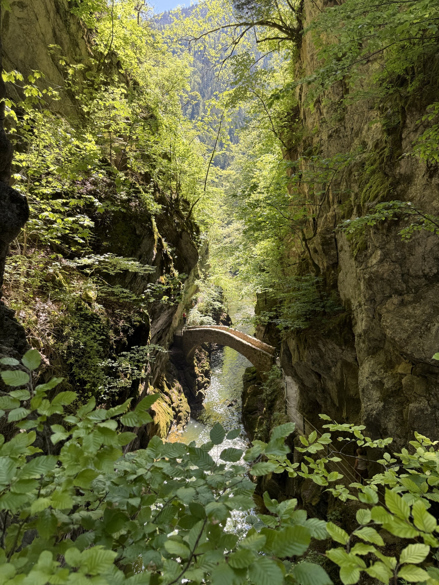 Blick auf die Pont de la Baleine mit dem Wanderweg entlang der Felsen in der Areuse-Schlucht.