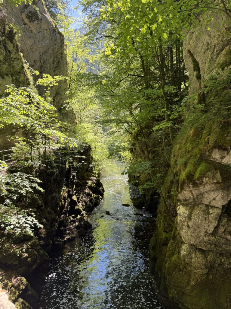Felslandschaft der Areuse-Schlucht