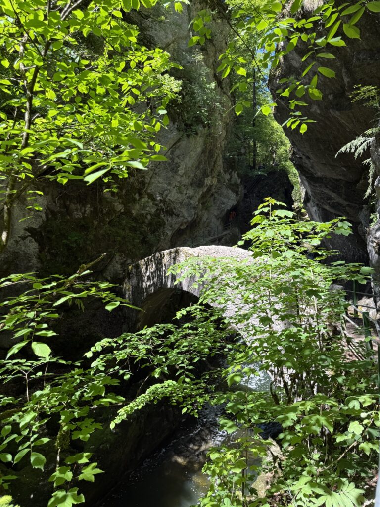 Pont de la Baleine vom Wanderweg