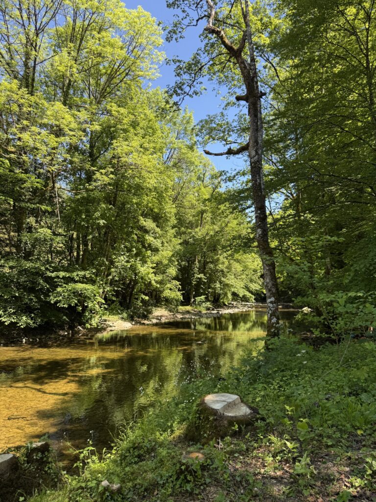 Ruhiger Fluss in der Areuse-Schlucht