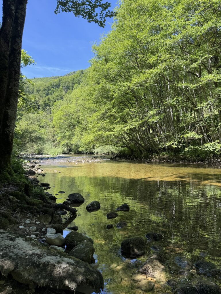 Areuse mit klarem Wasser