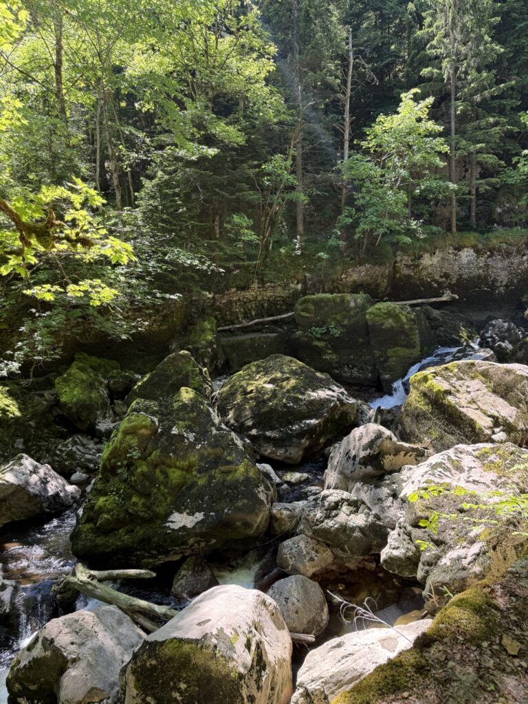 Moosbedeckte Felsen an der Areuse