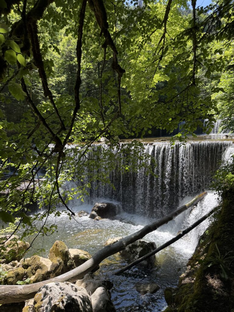 Wasserfall der Areuse im Wald