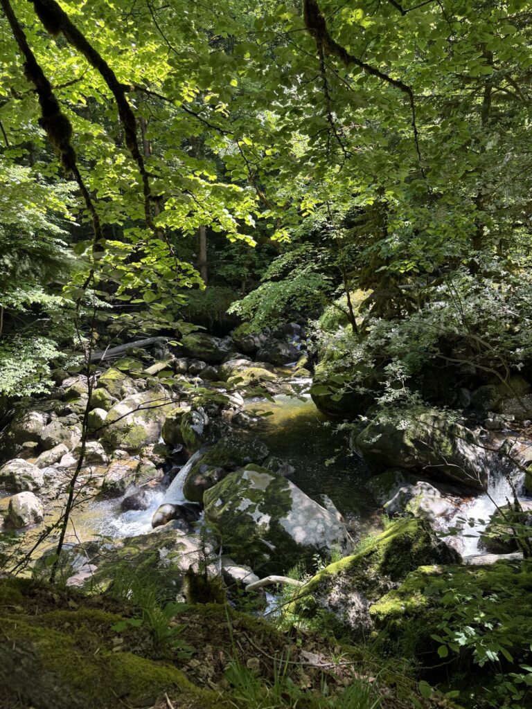 Wildes Flussbett der Areuse