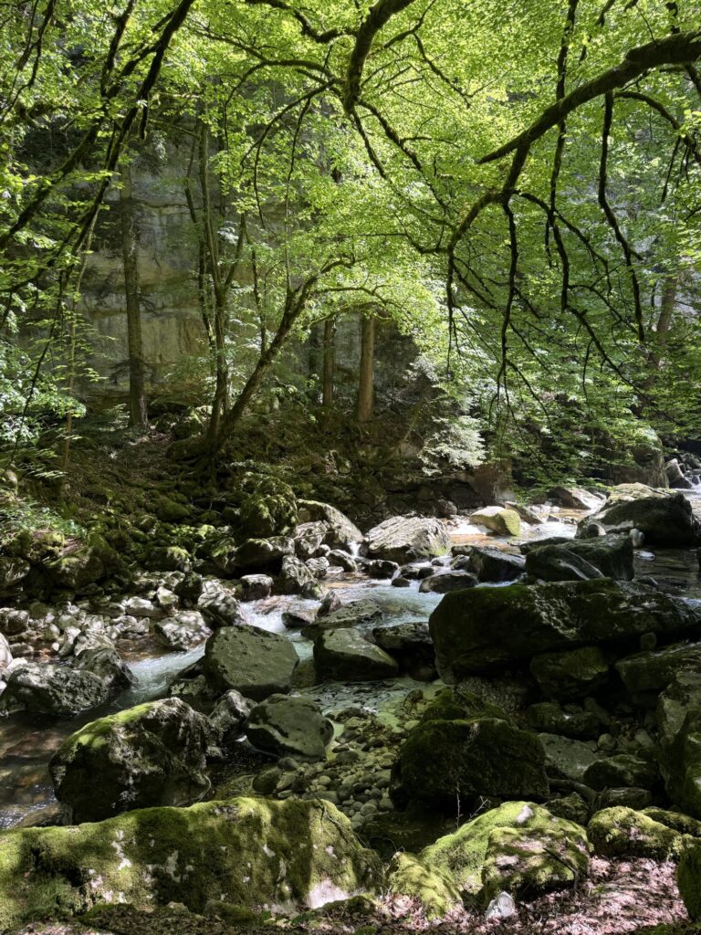 Moosige Felsen an der Areuse