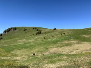 Panorama über die Alpweiden im Diemtigtal