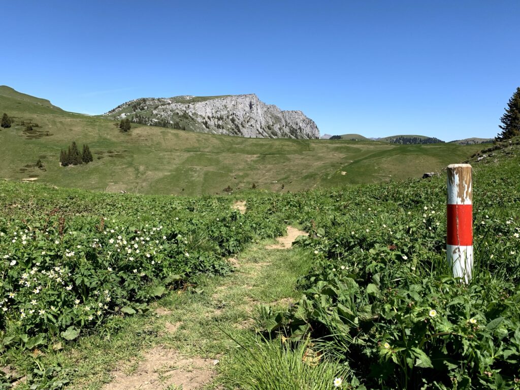 Wanderweg Richtung Gubi im Diemtigtal