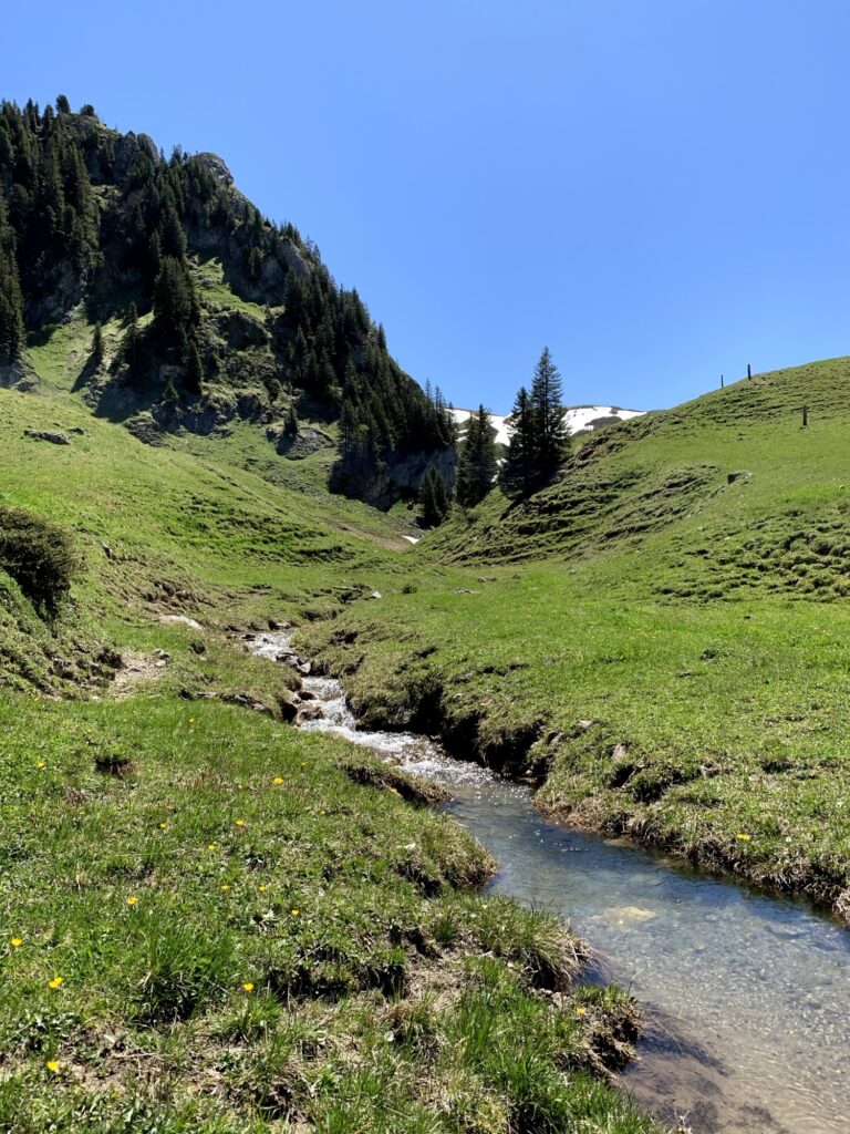 Bergbach entlang der Rundwanderung Seebergsee