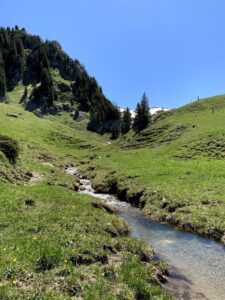 Bergbach auf der Rundwanderung Seebergsee