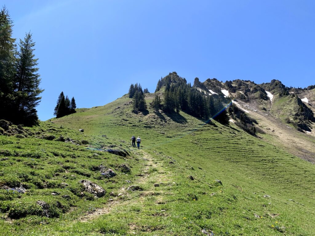 Wanderweg unterhalb der Muntigalm
