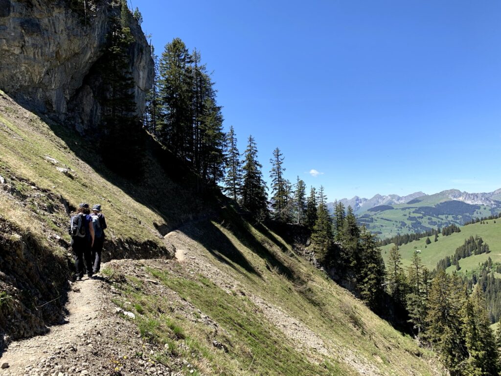 Schmaler Bergweg im Diemtigtal