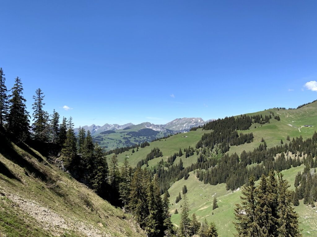 Aussicht ins Saanenland vom Panoramaweg
