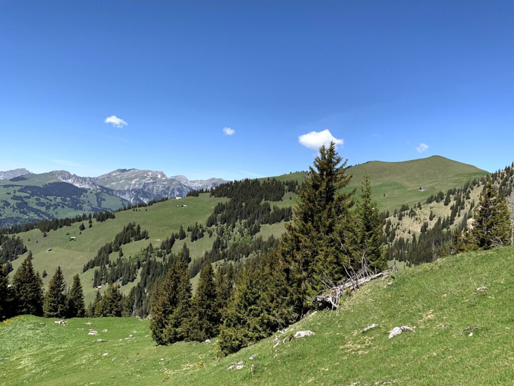 Panoramablick über die Alpweiden im Diemtigtal