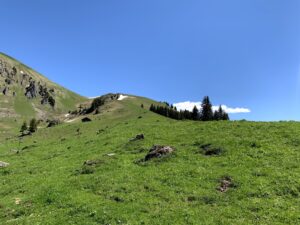 Grüne Alpweiden auf der Rundwanderung Seebergsee
