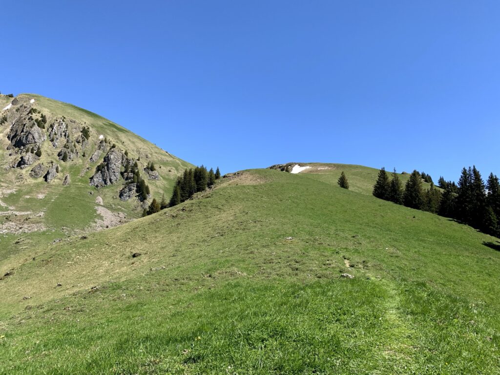 Wanderweg Richtung Gubi im Diemtigtal