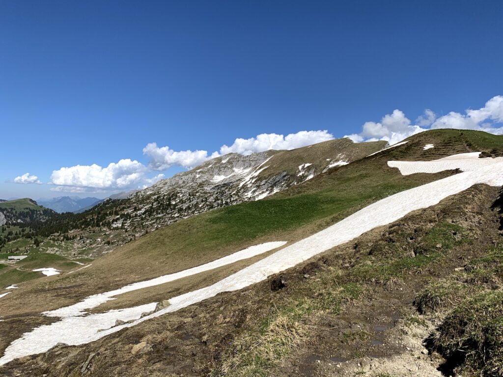 Frühsommerlandschaft mit Altschneefeldern
