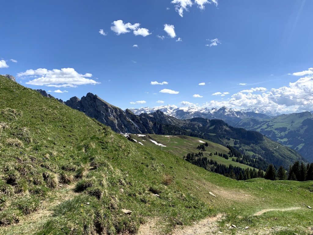 Panoramaweg mit Blick auf die Berner Alpen