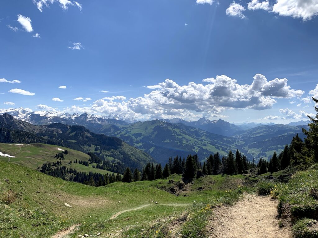 Bergpanorama über dem Diemtigtal