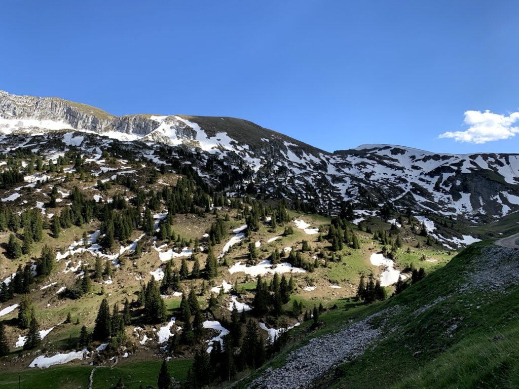 Albristhorn mit Schneefeldern im Frühsommer