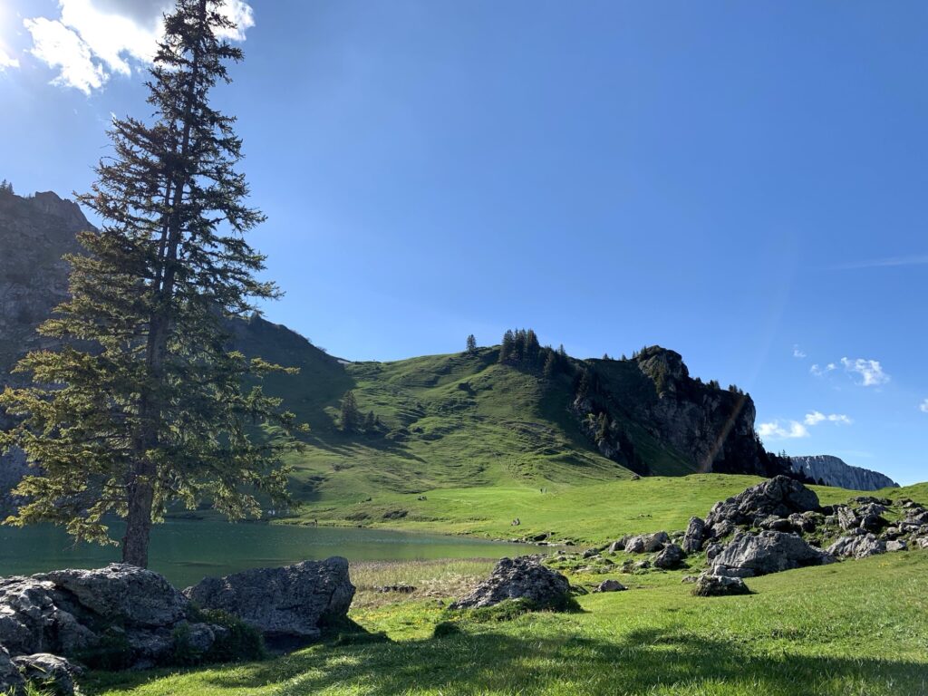 Seebergsee mit Felsen und Bergwiesen