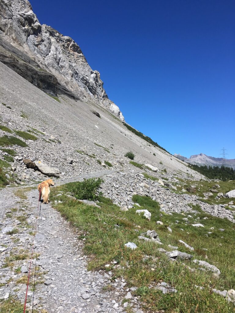 Shila auf einem Bergwanderweg in den Schweizer Alpen